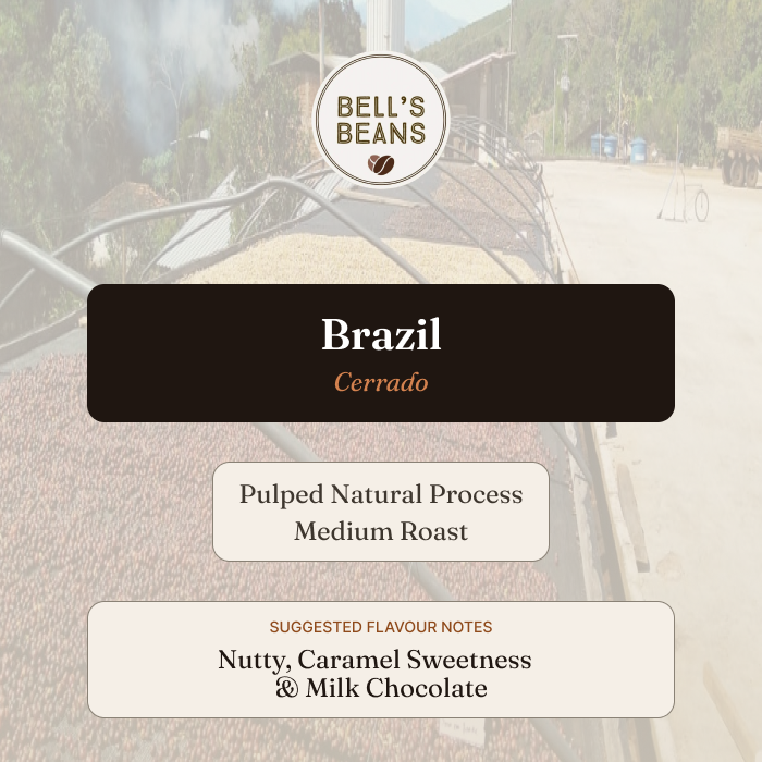 Brazil, Cerrado Mineiro
