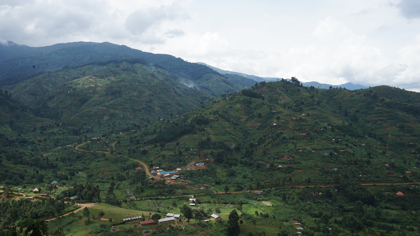 Ugandan, Bukonzo Dream