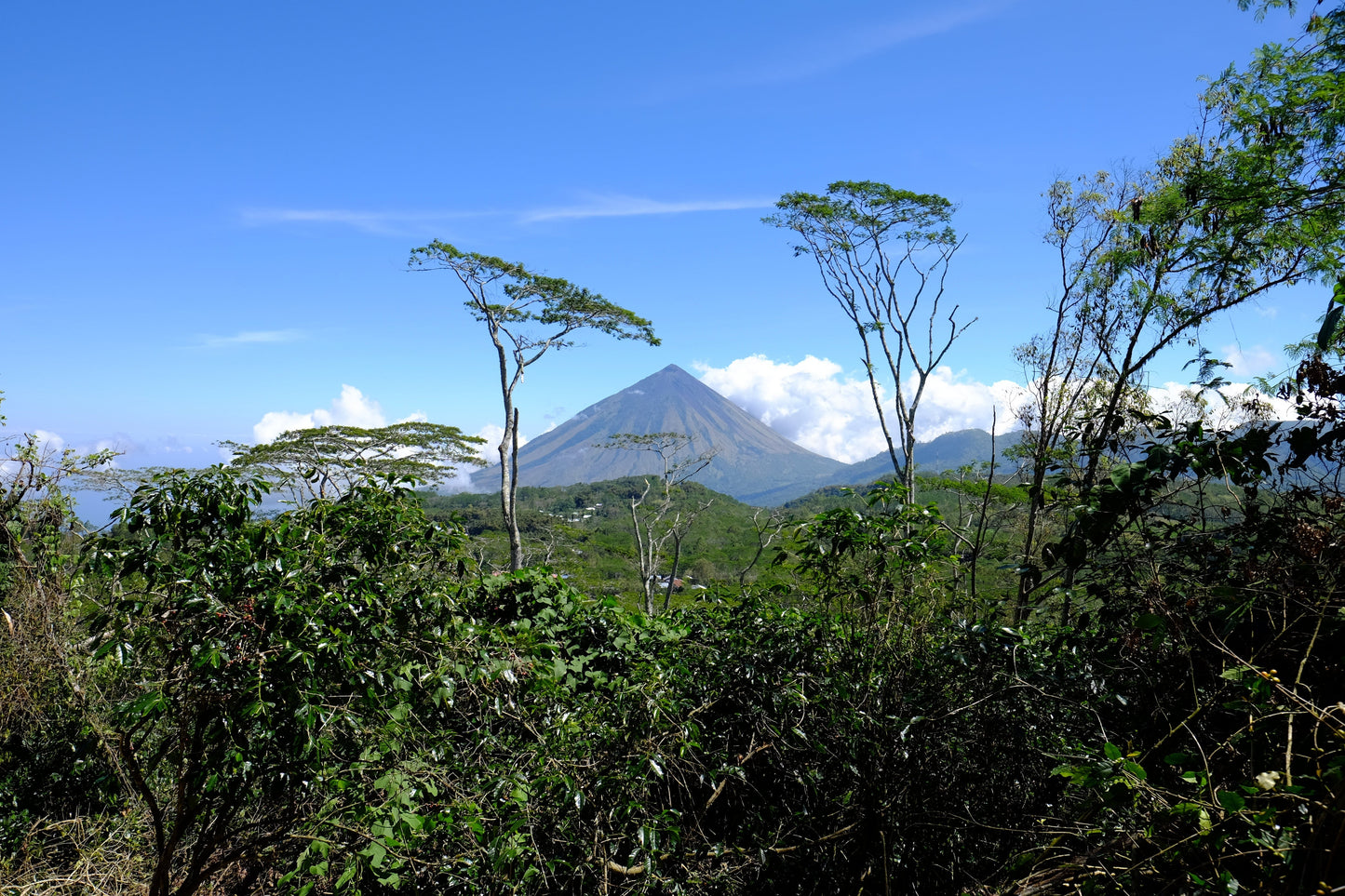 Indonesian, Barokah Kerinci