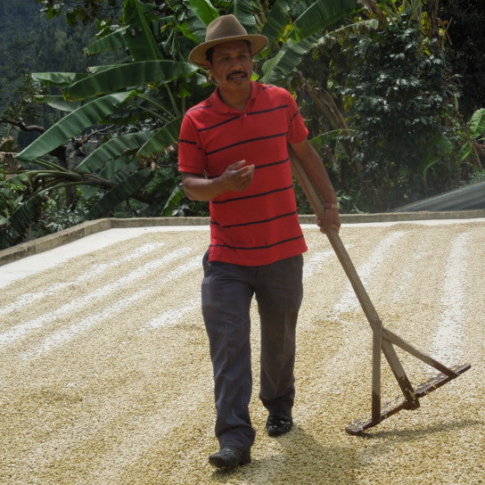 Guatemalan, La Concepción. Medium/Dark