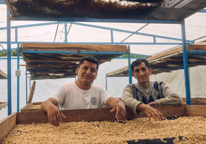 Peru, Finca El Morito, Faustino Flores. Nanolot
