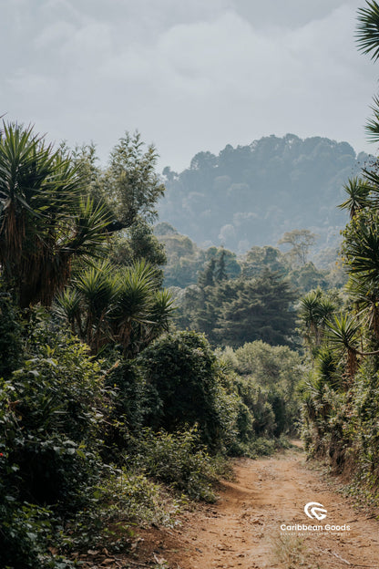 Guatemalan, La Concepción. Medium/Dark