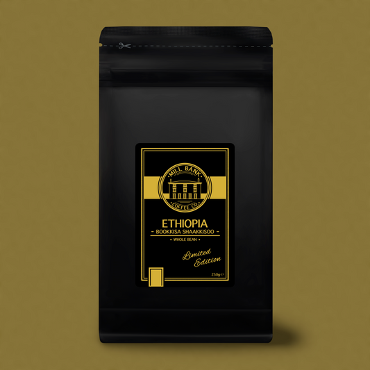 Ethiopia Bookkisa Shaakkisoo