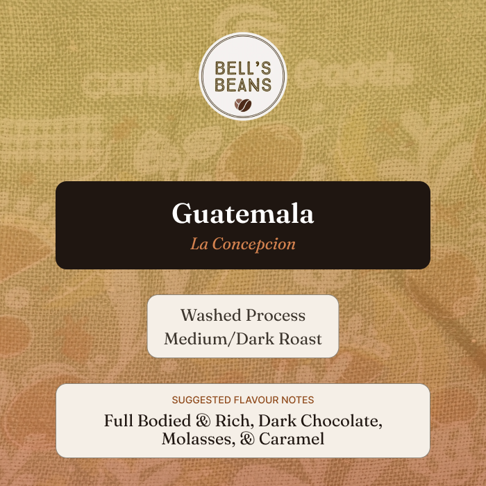 Guatemalan, La Concepción. Medium/Dark