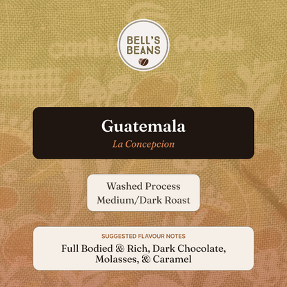 Guatemalan, La Concepción. Medium/Dark
