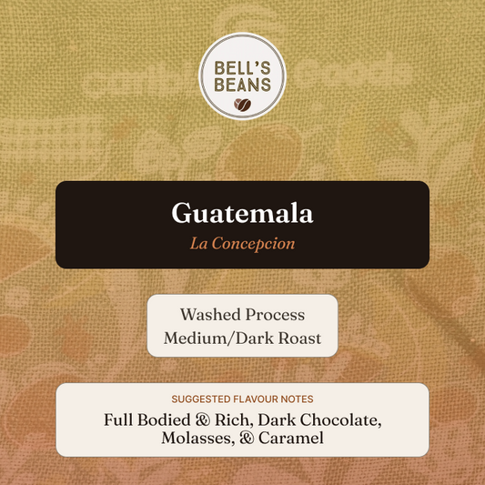 Guatemalan, La Concepción. Medium/Dark