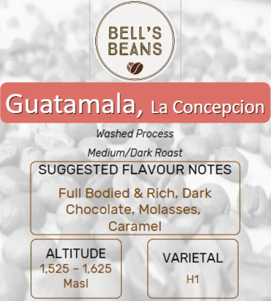 Guatemalan, La Concepción. Medium/Dark