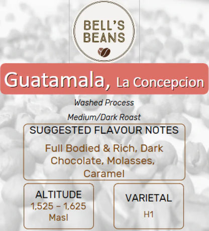 Guatemalan, La Concepción. Medium/Dark