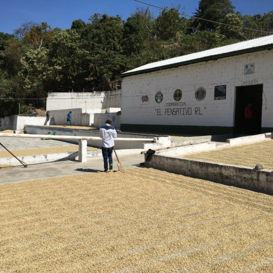 Guatemalan, La Concepción. Medium/Dark
