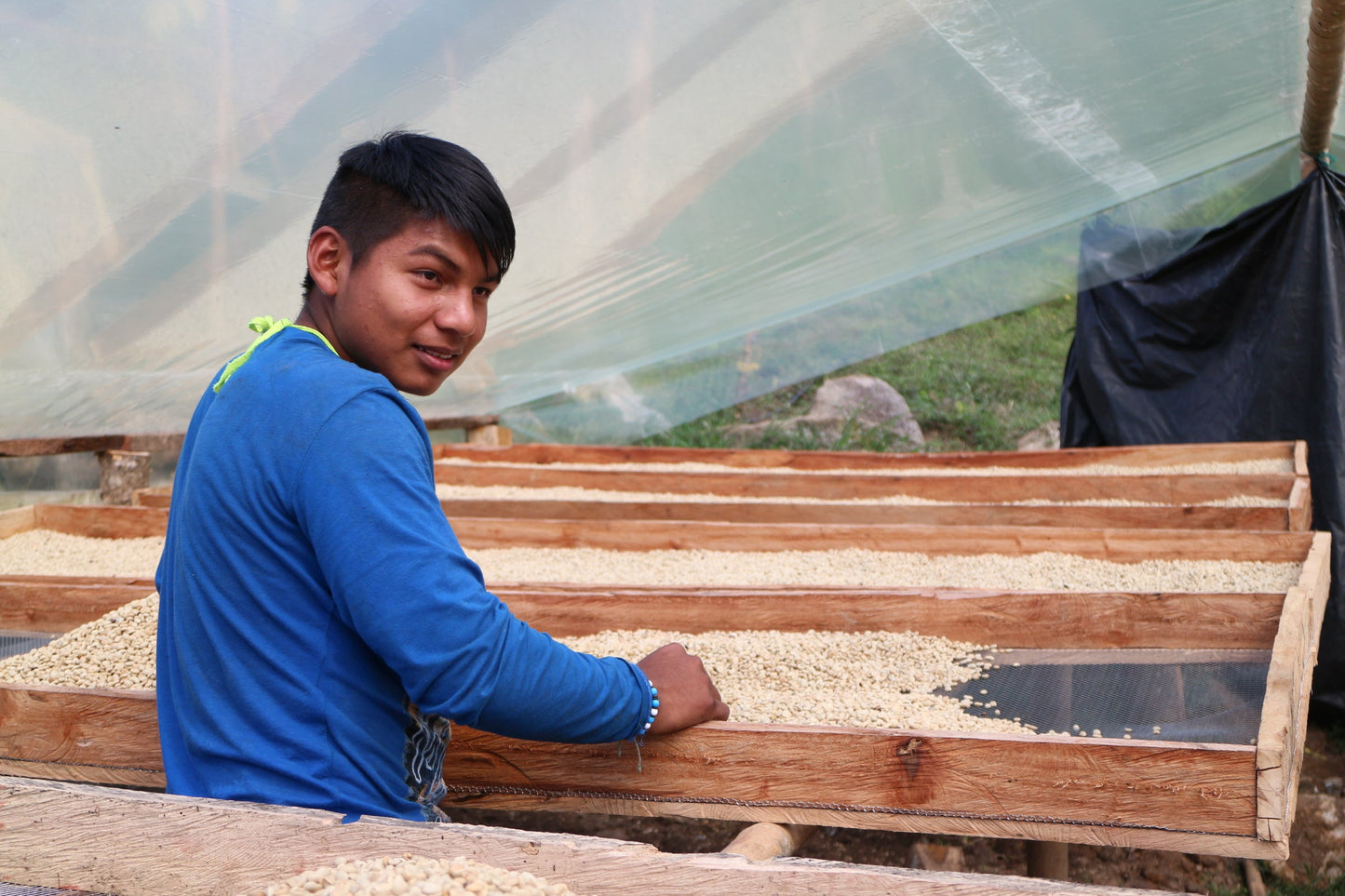 Decaf Colombia La Plata