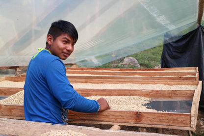 Decaf Colombia La Plata