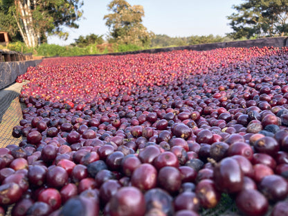 Raspberry Beret, Tanzania