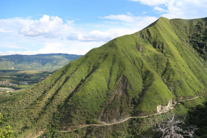 Decaf Colombia La Plata