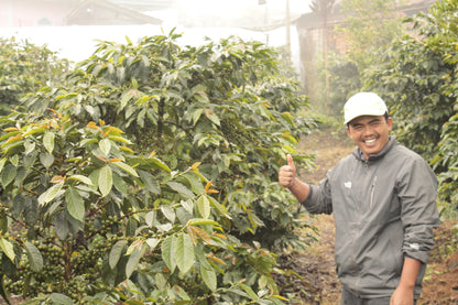 Indonesian, Barokah Kerinci