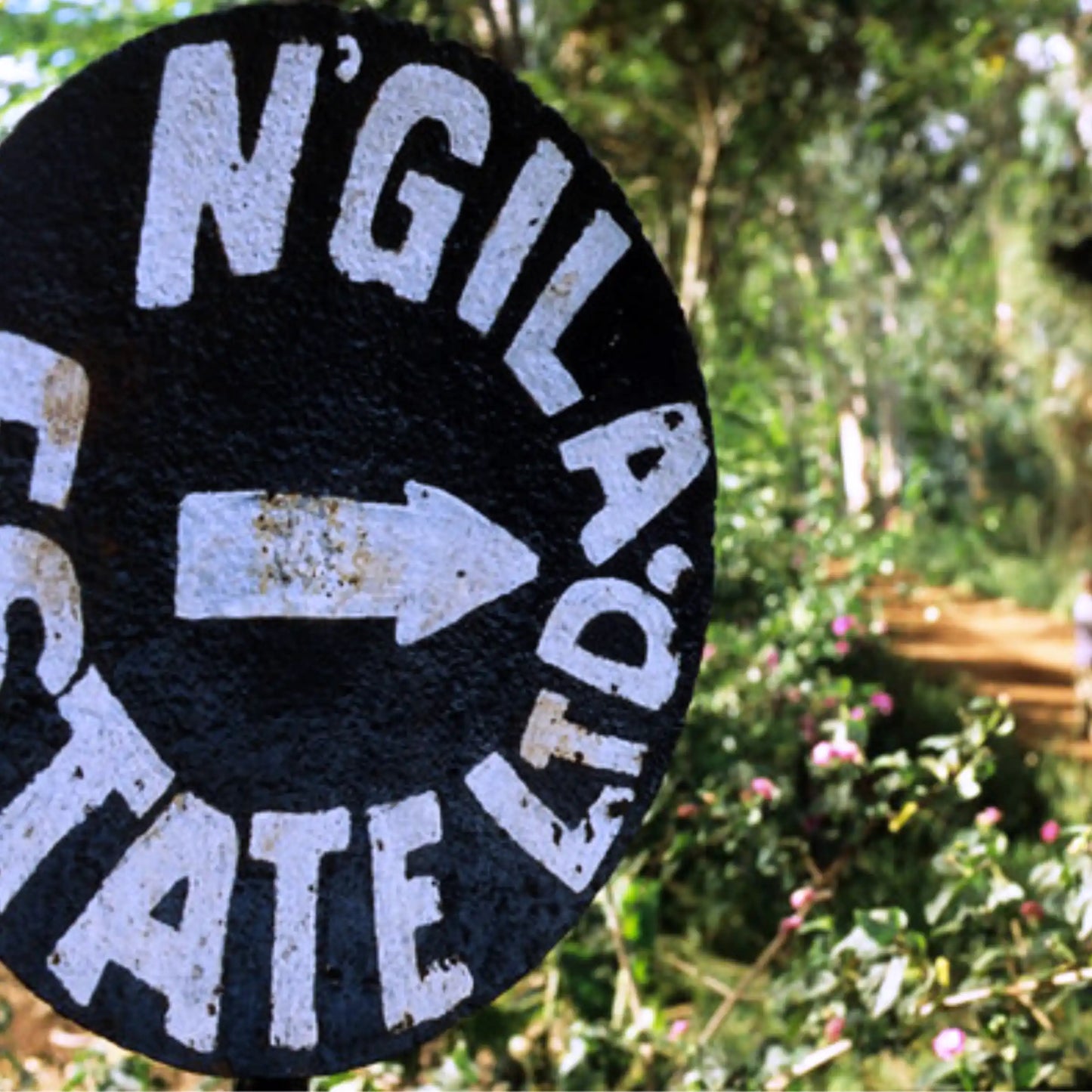 Ngila Estate Gesha - Tanzania