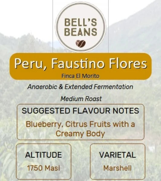 Peru, Finca El Morito, Faustino Flores. Nanolot