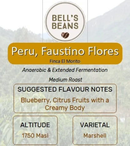 Peru, Finca El Morito, Faustino Flores. Nanolot