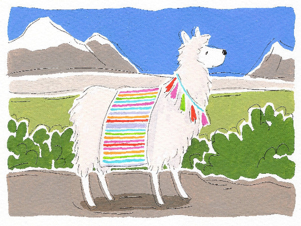 Peruvian Santa Rosa Cajamarca