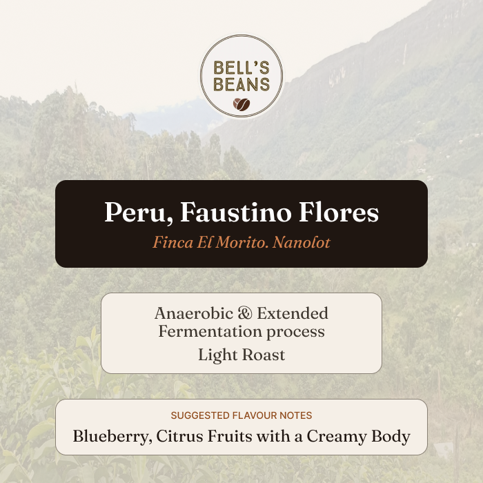 Peru, Finca El Morito, Faustino Flores. Nanolot