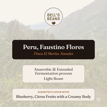 Peru, Finca El Morito, Faustino Flores. Nanolot