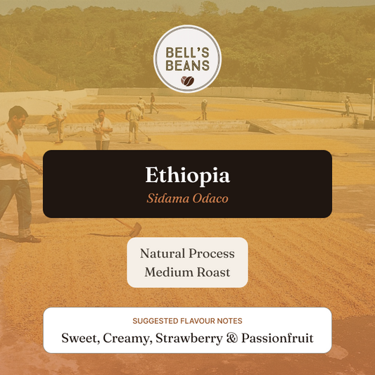 Ethiopian, Odaco, Natural