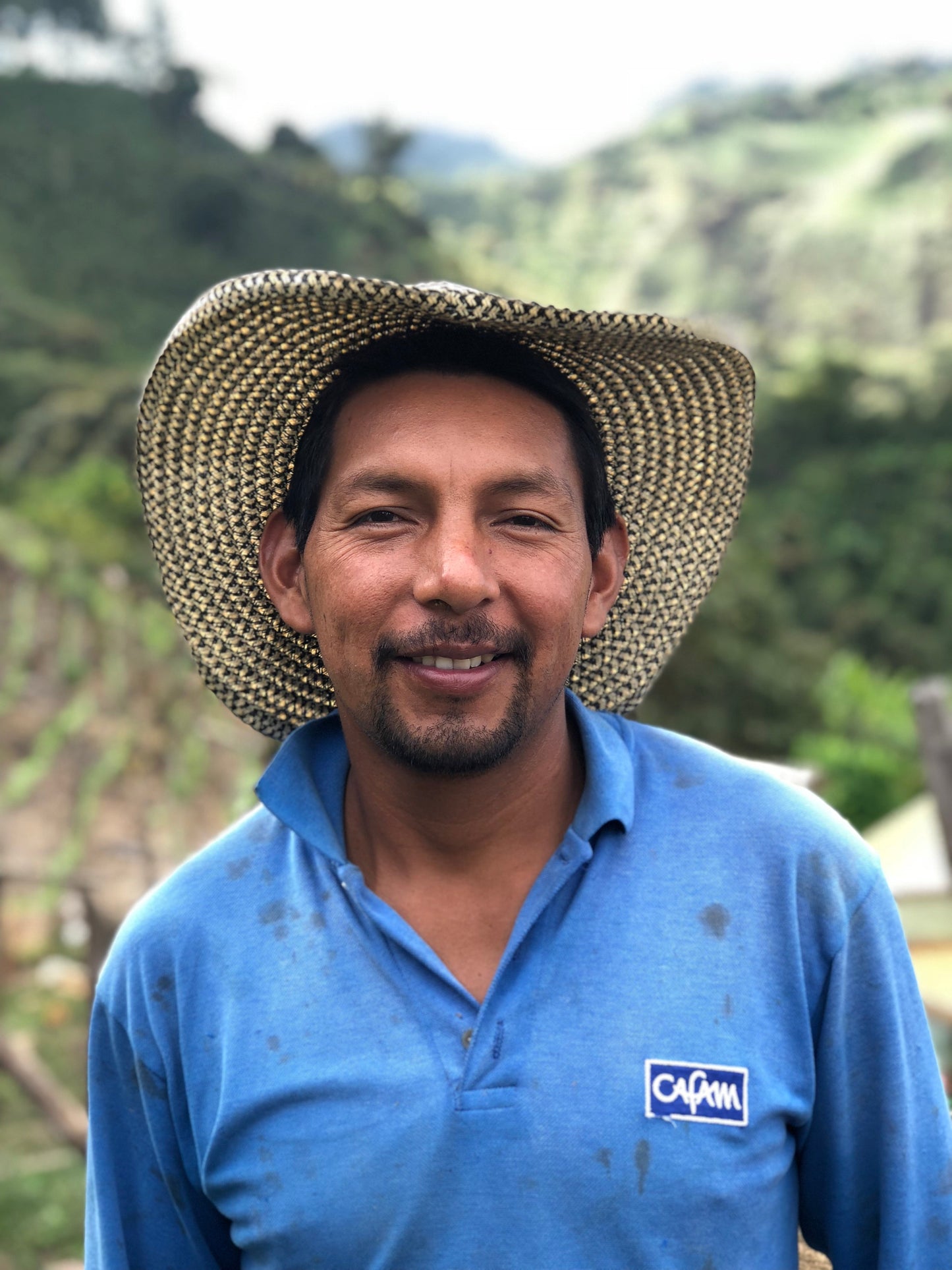 Decaf Colombia La Plata