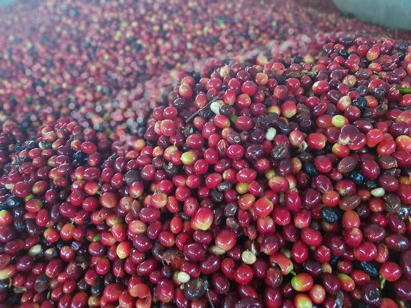 Peru, Llave de Oro