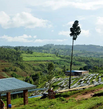 Rwanda - Mbizi