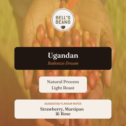 Ugandan, Bukonzo Dream