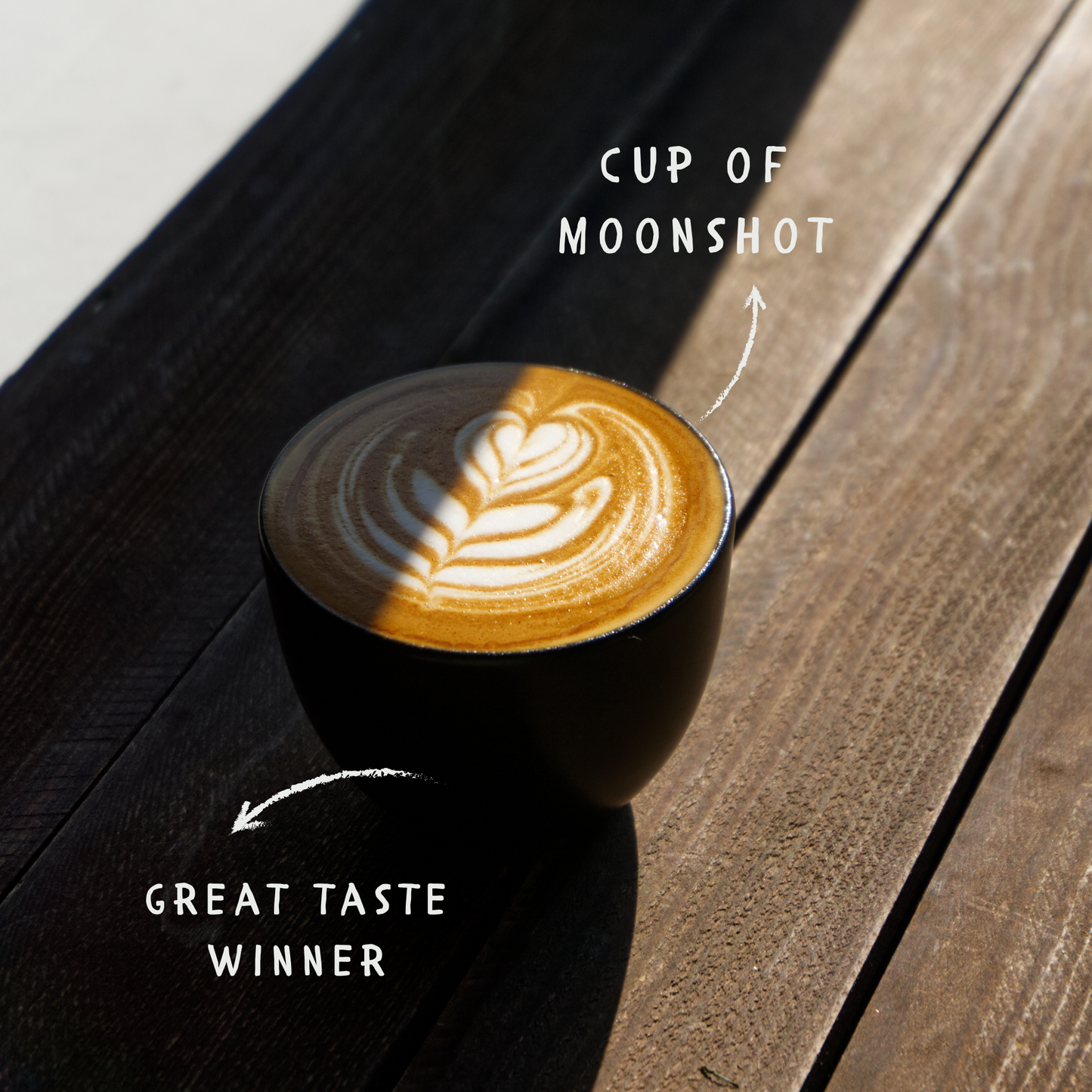 Moonshot