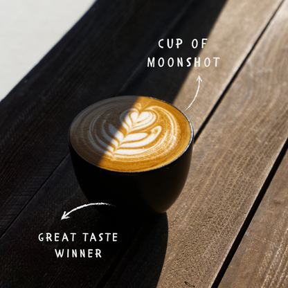 Moonshot