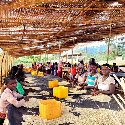 Ethiopia - Chelbesa