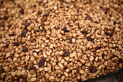 Ethiopian, Odaco, Natural